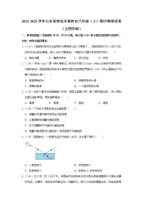 山东省青岛市莱西市2022-2023学年八年级上学期期中物理试题（五四学制）