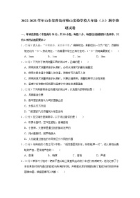 山东省青岛市崂山实验学校2022-2023学年八年级上学期期中物理试题