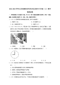 山东省潍坊市寿光市化龙初中2022-2023学年八年级上学期期中物理试题