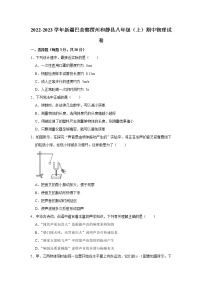 新疆巴音郭楞州和静县2022-2023学年八年级上学期期中物理试题