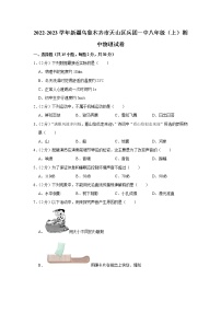 新疆乌鲁木齐市天山区兵团一中2022-2023学年八年级上学期期中物理试题