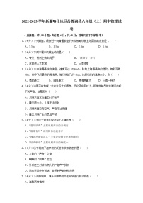 新疆喀什地区岳普湖县2022-2023学年八年级上学期期中物理试题