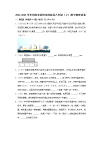 河南省信阳市淮滨县2022-2023学年八年级上学期期中物理试题