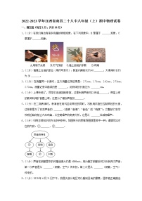 江西省南昌二十八中2022-2023学年八年级上学期期中物理试题
