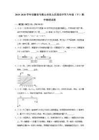 安徽省马鞍山市花山区成功中学2019-2020学年八年级下学期期中物理试题