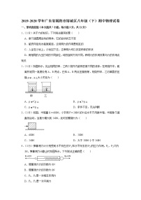 广东省揭阳市榕城区2019-2020学年八年级下学期期中物理试题