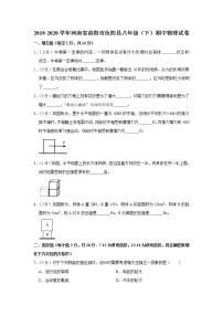 河南省洛阳市汝阳县2019-2020学年八年级下学期期中物理试题