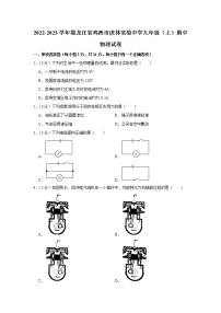 黑龙江省鸡西市虎林实验中学2022-2023学年九年级上学期期中物理试题