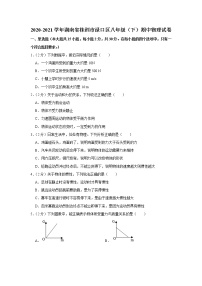 湖南省株洲市渌口区2020-2021学年八年级下学期期中物理试题