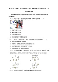 广东省深圳市龙岗区德琳学校初中部2022-2023学年九年级上学期期中物理试题