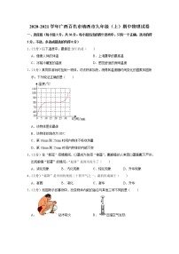 广西百色市靖西市2020-2021学年九年级上学期期中物理试题