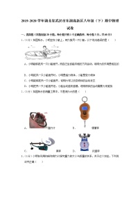 湖北省武汉市东湖高新区2019-2020学年八年级下学期期中物理试题