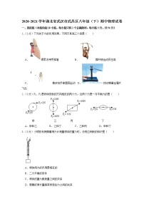 湖北省武汉市武昌区2020-2021学年八年级下学期期中物理试题