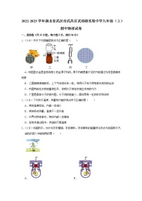 湖北省武汉市武昌区武珞路实验中学2022-2023学年九年级上学期期中物理试题