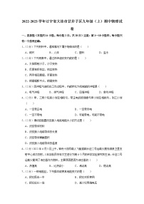 辽宁省大连市甘井子区2022-2023学年九年级上学期期中物理试题