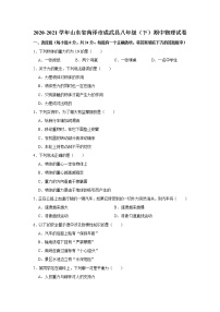 山东省菏泽市成武县2020-2021学年八年级下学期期中物理试题