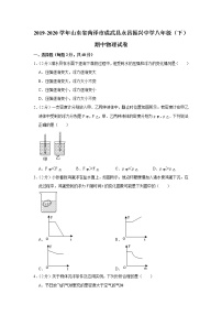 山东省菏泽市成武县永昌振兴中学2019-2020学年八年级下学期期中物理试题