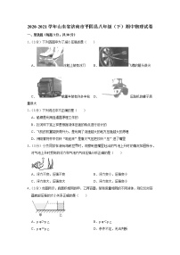 山东省济南市平阴县2020-2021学年八年级下学期期中物理试题