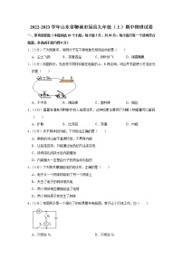 山东省临沂市罗庄区2019-2020学年九年级下学期期中物理试题