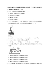 山东省临沂市临沭县2020-2021学年八年级下学期期中物理试题