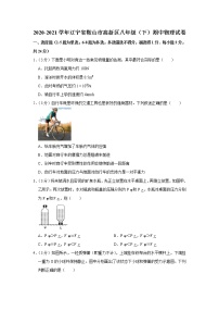 辽宁省鞍山市高新区2020-2021学年八年级下学期期中物理试题