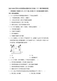 山东省青岛市胶州市2019-2020学年八年级下学期期中物理试题