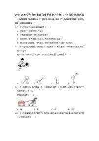 山东省青岛市平度市2019-2020学年八年级下学期期中物理试题