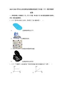 山东省青岛市西海岸新区2019-2020学年八年级下学期期中物理试题