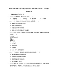 山东省泰安市泰山区泰山实验中学2019-2020学年八年级下学期期中物理试题