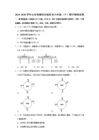 山东省潍坊市高密市2019-2020学年八年级下学期期中物理试题