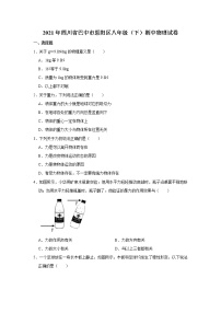 四川省巴中市恩阳区2020-2021学年八年级下学期期中物理试题