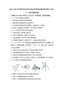 四川省自贡市自流井区蜀光绿盛实验学校2019-2020学年九年级下学期期中物理试题