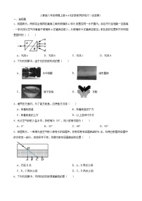 物理八年级上册第四章 光现象第4节 光的折射课时练习