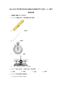 四川省内江市威远县凤翔中学2022-2023学年八年级上学期期中物理试卷(含答案)