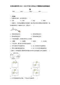 北京市朝阳区2022～2023学年九年级上学期期末检测物理试题 (含答案)