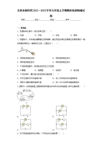 北京市朝阳区2022~2023学年九年级上学期期末检测物理试题 (含答案)