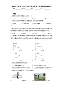 北京市大兴区2022-2023学年八年级上学期期末物理试题 (含答案)