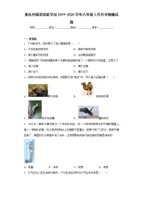 重庆外国语实验学校2019-2020学年八年级3月月考物理试题