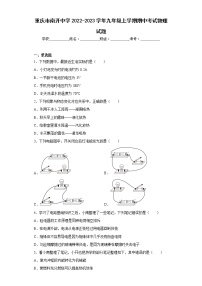 重庆市南开中学2022-2023学年九年级上学期期中考试物理试题
