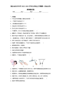 重庆市育才中学2022-2023学年九年级上学期第一次自主作业物理试题