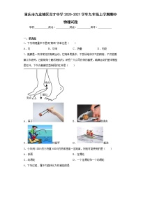 重庆市九龙坡区育才中学2020-2021学年九年级上学期期中物理试题