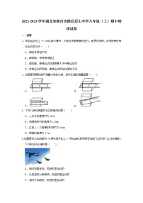 湖北省随州市随县厉山中学2022-2023学年八年级上学期期中物理试题