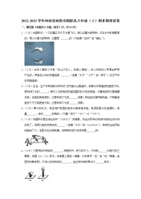 河南省南阳市桐柏县2022-2023学年八年级上学期期末物理试题