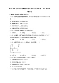 山东省聊城市莘县妹冢中学2022-2023学年九年级上学期期中物理试题