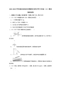 湖北省武汉市黄陂区双凤中学2022-2023学年八年级上学期期末物理试卷(含答案)