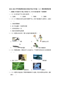 陕西省延安市洛川县2022-2023学年八年级上学期期末考试物理试题(含答案)