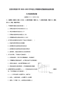 辽宁省沈阳市沈河区沈阳市育源中学2022-2023学年九年级上学期期末物理试题(含答案)