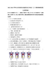 山东省泰安市新泰市2022-2023学年九年级上学期期末物理试卷（五四学制）(含答案)