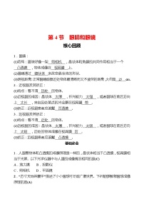 初中物理人教版八年级上册第4节 眼睛和眼镜一课一练