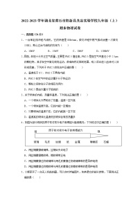 湖北省黄石市阳新县光谷实验学校2022-2023学年九年级上学期期末物理试题